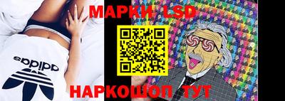 spice Обнинск