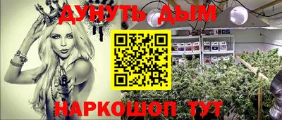 spice Обнинск