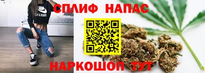 spice Обнинск