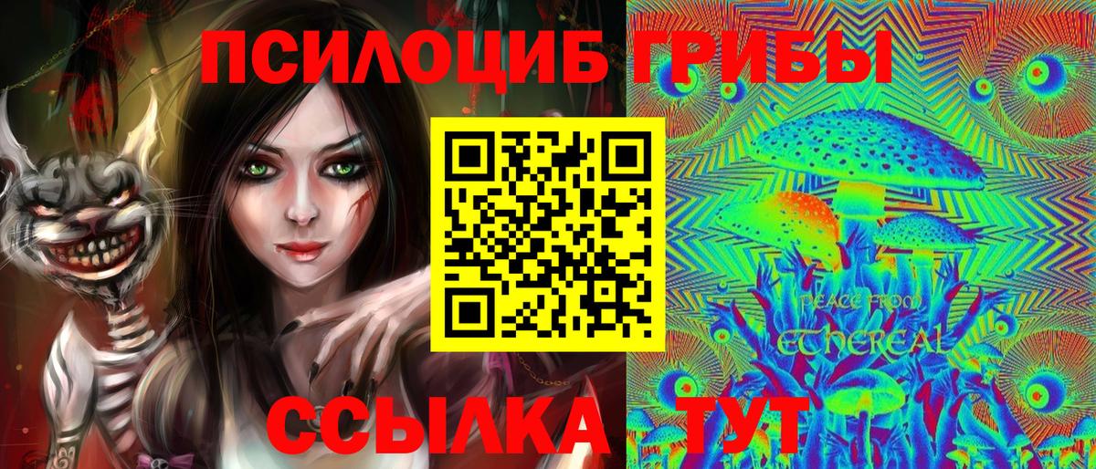 Псилоцибиновые грибы Psilocybe  Вход с VPN  Сальск 