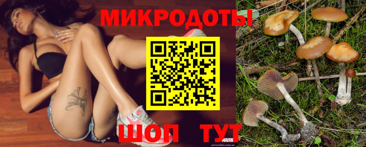 Псилоцибиновые грибы MAGIC MUSHROOMS Сальск